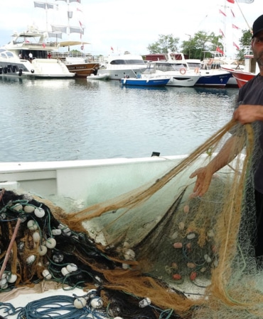 1-eylul-icin-geri-sayim-basladi-balikcilarin-umudu-hamsi-pbfp