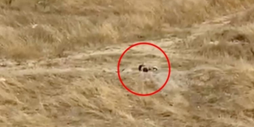 1838300-gupegunduz-bos-alanda-uygunsuz-goruntuler-mahalleliden-tepki-yagiyor-68ac30d4df7a5