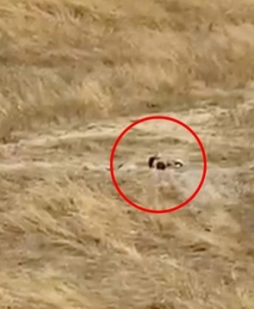 1838300-gupegunduz-bos-alanda-uygunsuz-goruntuler-mahalleliden-tepki-yagiyor-68ac30d4df7a5