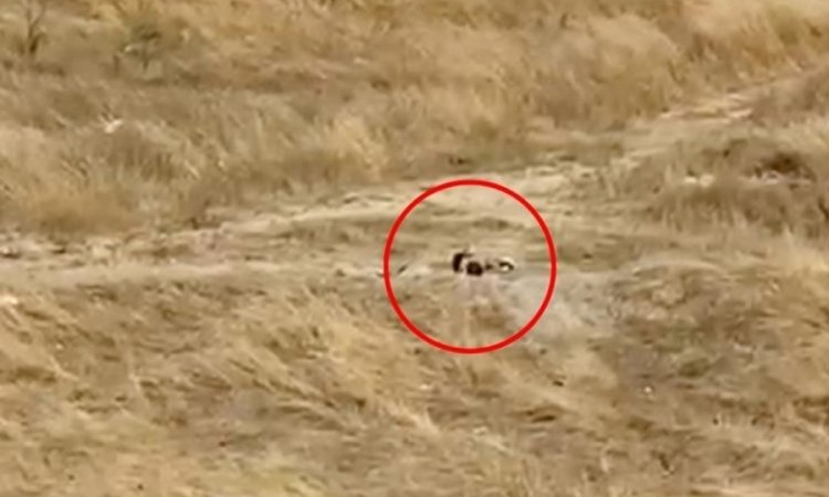 1838300-gupegunduz-bos-alanda-uygunsuz-goruntuler-mahalleliden-tepki-yagiyor-68ac30d4df7a5