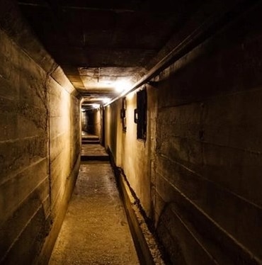 8TZJQvJTFEeQz8n8x0sYKg