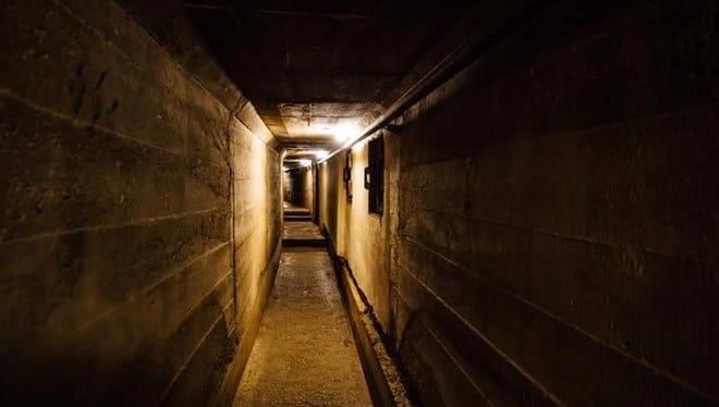 8TZJQvJTFEeQz8n8x0sYKg