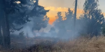 BURSA'DA KORKUTAN ORMAN YANGINI