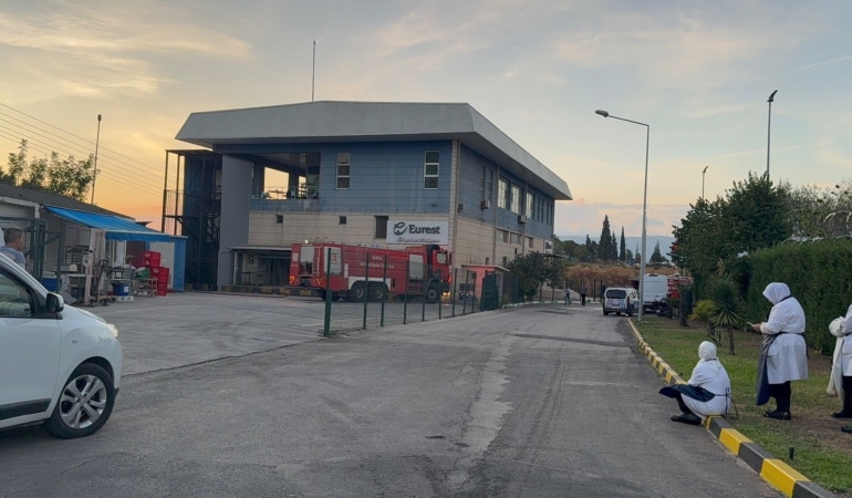 GEMLİK SERBEST BÖLGE'DE ÇIKAN YANGIN PANİĞE NEDEN OLDU