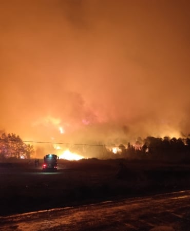BURSA'DA ORMAN YANGINI...RÜZGARIN ETKİSİYLE BÜYÜDÜ