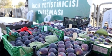 _C4_B0NC_C4_B0R_20FEST_C4_B0VAL_C4_B0_20(4)