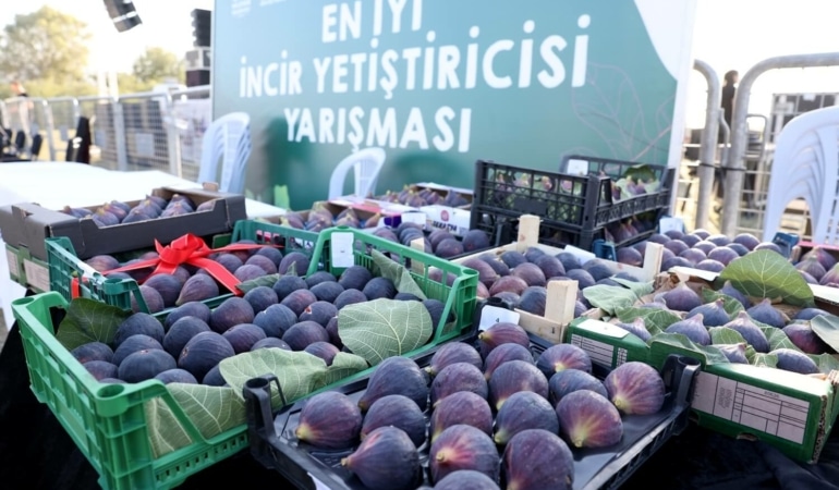 _C4_B0NC_C4_B0R_20FEST_C4_B0VAL_C4_B0_20(4)