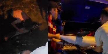 bursada-olu-yunus-baligi-kiyiya-vurdu-9mtt