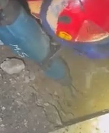 yaramaz-kedi-kaza-kaza-kendini-topraga-gomdu