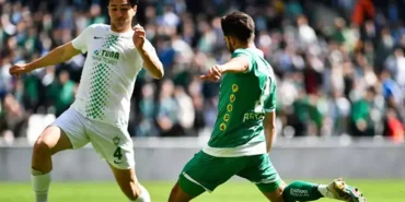 65fef0a0a86c8d09ad221ef6