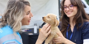 CAN DOSTLAR YENİ YUVALARINA KAVUŞTU