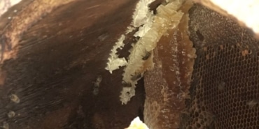 VxQbfqL2r06yqXQR5iiSKA