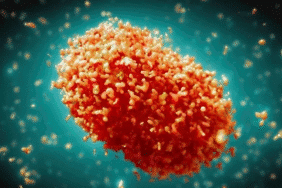 görsel_2025-10-31_215305305