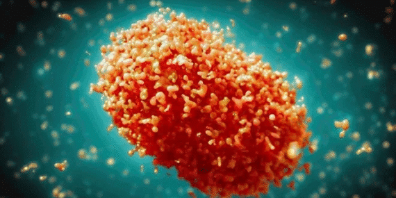 görsel_2025-10-31_215305305