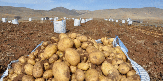 görsel_2025-11-01_154652790