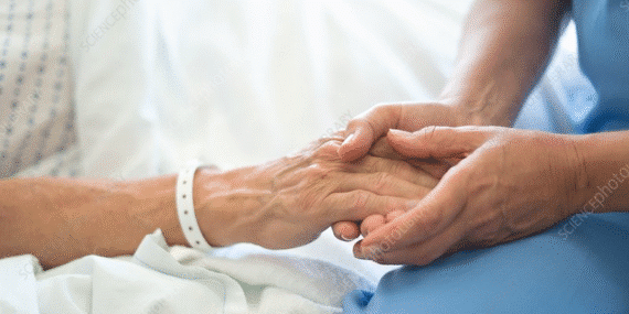 görsel_2025-11-06_103702224