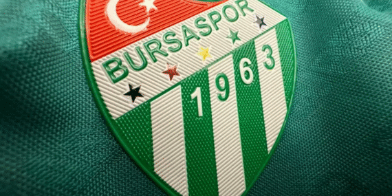 görsel_2025-11-24_172343290