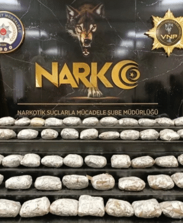 görsel_2025-11-24_183534841