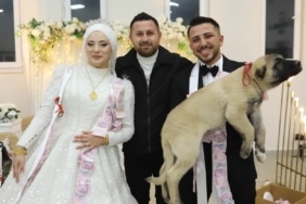 Denizli'de düğünde gelin ve damada takı yerine çoban köpeği hediye edildi