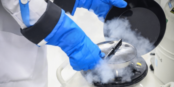 görsel_2025-12-10_164722080