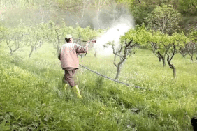 görsel_2025-12-13_135718486