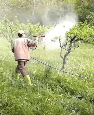 görsel_2025-12-13_135718486