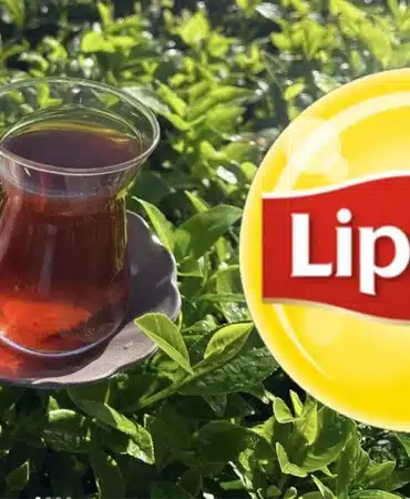 lipton-oz6j_cover