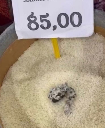 MERSİN'DE SKANDAL GÖRÜNTÜ: PİRİNÇTEN KEDİ DIŞKISI ÇIKAN MARKETE CEZA