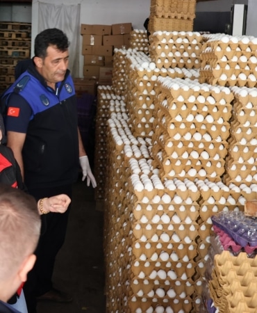 HALİLİYE'DE SAĞLIKSIZ DEPOYA BASKIN: 5 BİN KOLİ YUMURTA İMHA EDİLDİ