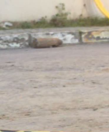 Eyüpsultan'da kazı çalışması sırasında havan topu mermis