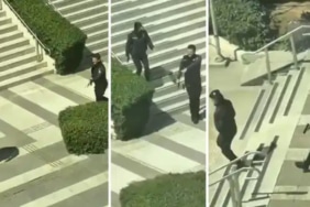 c9184ede-1f7a-4687-acd5-f11b854937b3-220736