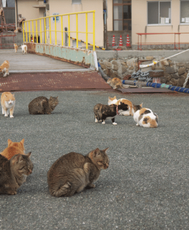 görsel_2026-04-11_101153148