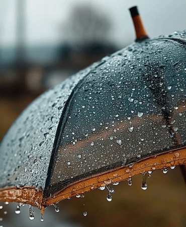 görsel_2026-04-11_104250724