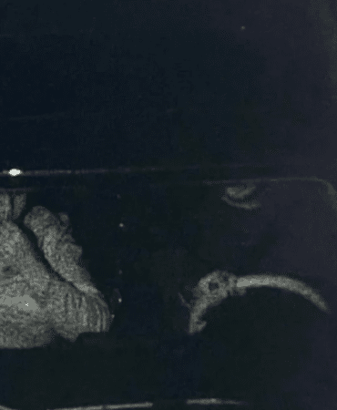 görsel_2026-04-15_083203458