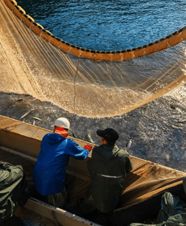 görsel_2026-04-15_090232832