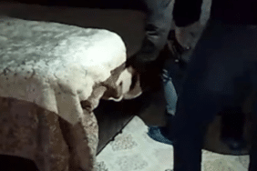 görsel_2026-04-18_124524072