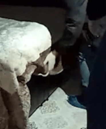 görsel_2026-04-18_124524072