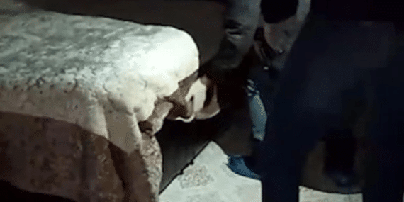 görsel_2026-04-18_124524072