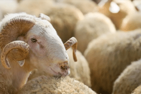 görsel_2026-04-20_155337905