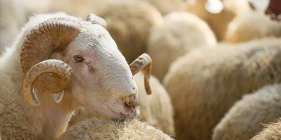 görsel_2026-04-20_155337905