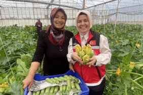 görsel_2026-04-22_115012099