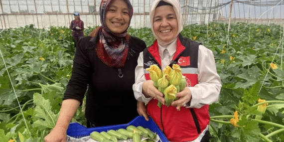 görsel_2026-04-22_115012099