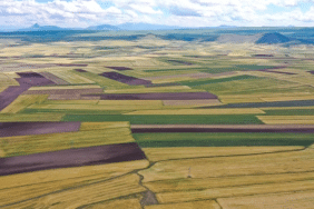 görsel_2026-04-24_102335241