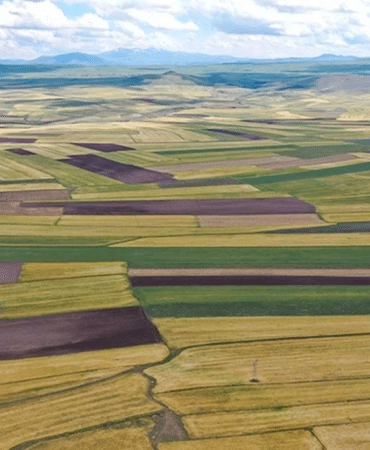 görsel_2026-04-24_102335241