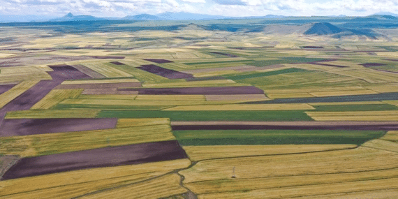 görsel_2026-04-24_102335241