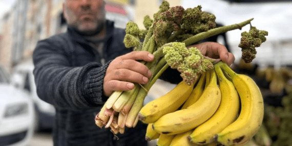 görsel_2026-04-28_101837559