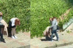 görsel_2026-04-29_103448344