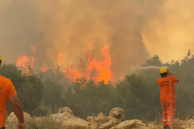 görsel_2026-04-29_154820268