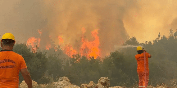 görsel_2026-04-29_154820268