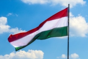 thumbs_b_c_642275c34299f82b136a6d511274e59f